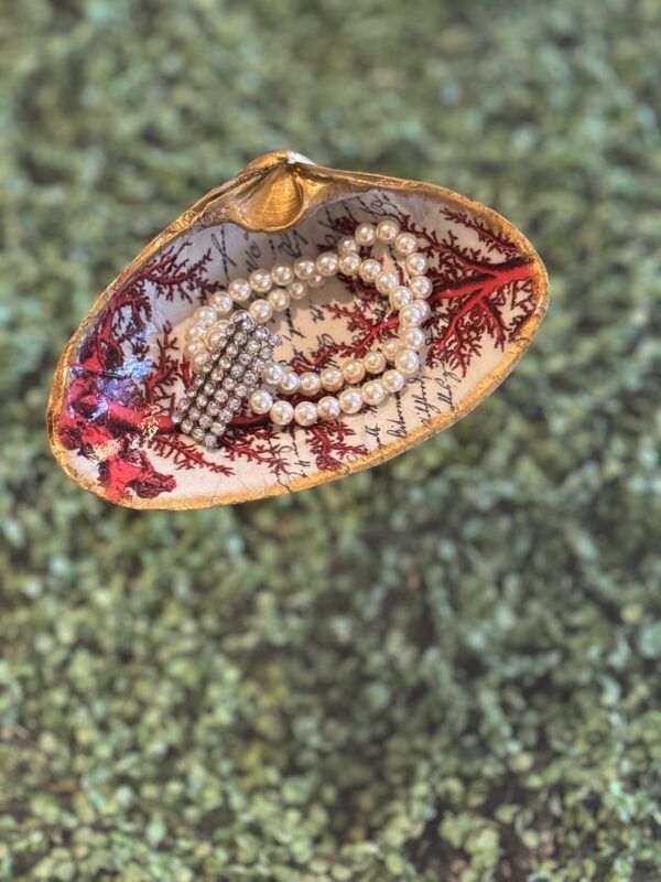 Concha Coral Dourada