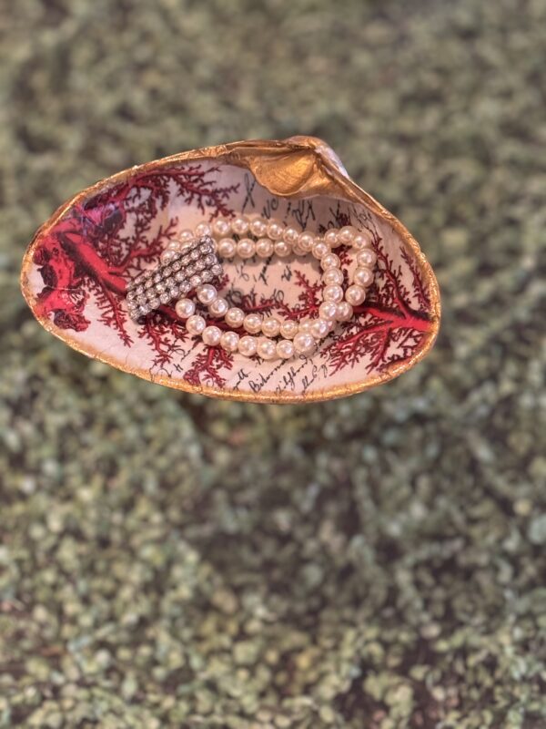 Concha Coral Dourada